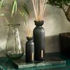 Tinh dầu tán hương The Rituals of Jing Fragrance Sticks 250ml