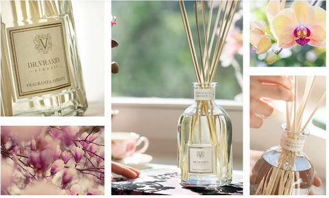 Tinh dầu tán hương Dr.Vranjes Magnolia Orchidea Fragranza Sticks