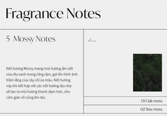 Nước hoa khô Addict 501 Solid Perfume Naked  OAK Moss 30ml