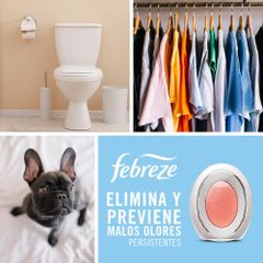 Tinh dầu khử mùi Toilet Febreze Blossom & Breeze 7.5ml