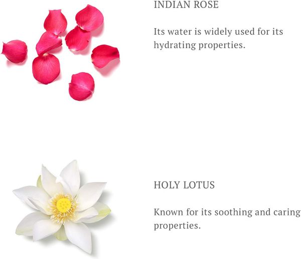 Hydrating - Kem dưỡng ẩm ban đêm Rituals of Namaste Hydrating Overnight cream 50ml