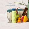 Sữa Tắm Harry's Grove Body wash