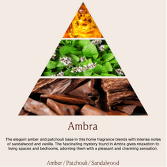 Tinh dầu tán hương Dr.Vranjes Ambra Fragranza Sticks