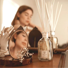 Tinh dầu tán hương Dr.Vranjes Ambra Fragranza Sticks