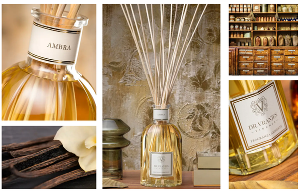 Tinh dầu tán hương Dr.Vranjes Ambra Fragranza Sticks