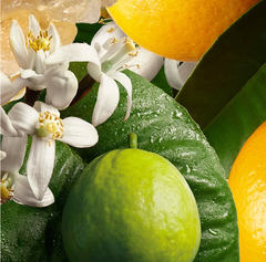 Sữa tắm tạo bọt Molton Brown Orange Bergamot Bath & Shower Gel 300ml