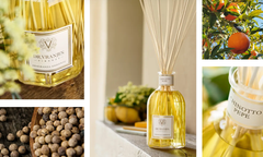 Tinh dầu tán hương Dr.Vranjes Chinotto Pepe Fragranza Sticks