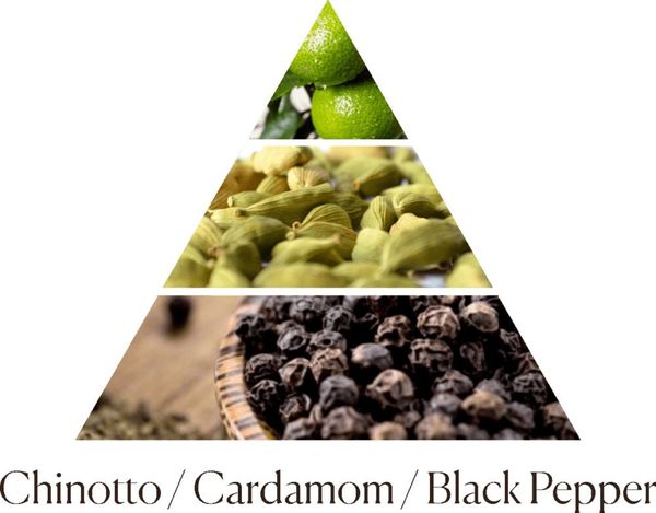 Tinh dầu tán hương Dr.Vranjes Chinotto Pepe Fragranza Sticks