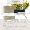 Refill Sáp thơm ô tô The Rituals of Mimosa car perfume