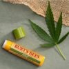 Son dưỡng môi  Burt's bees không màu 100% thiên nhiên