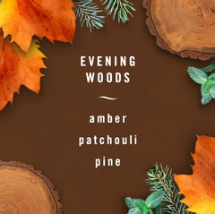 Tinh dầu Thơm xe Febreze Car Evening Wood 2x2ml