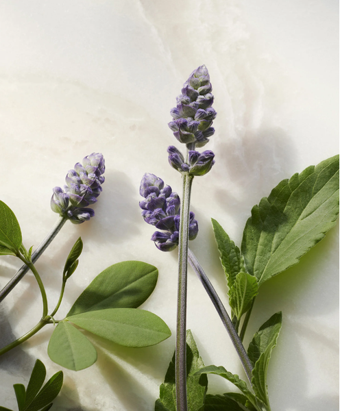 Glow - Huyết thanh chống lão hóa Rituals of Namaste Anti-Ageing Serum serum 30ml