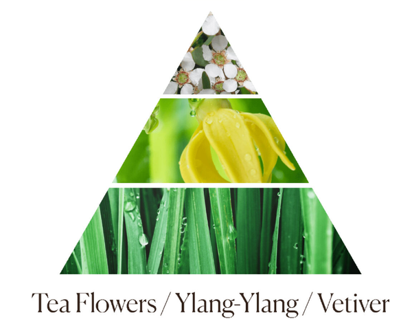 Tinh dầu tán hương Dr.Vranjes Green Flowers Fragranza Sticks