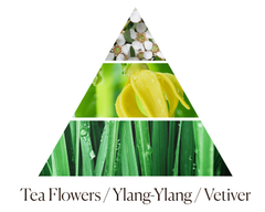 Tinh dầu tán hương Dr.Vranjes Green Flowers Fragranza Sticks