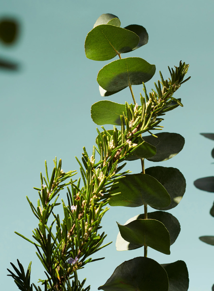 Gift set -  The Rituals of Hammam bộ quà tặng tắm dưỡng ẩm và nến thơm