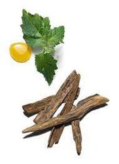 Rituals - Nước hoa nam Rituals of Oudh Pour Homme  EDP 50ml