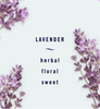 Tinh dầu Thơm xe Febreze Car Lavender 2x2ml