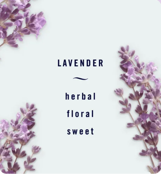 Tinh dầu khử mùi Toilet Febreze Lavender 7.5ml