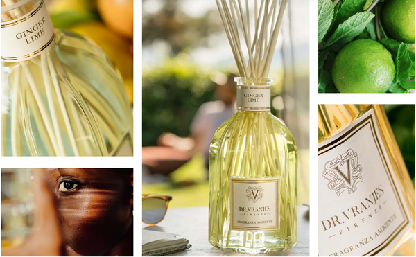 Tinh dầu tán hương Dr.Vranjes Ginger Lime Fragranza Sticks