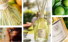 Tinh dầu tán hương Dr.Vranjes Ginger Lime Fragranza Sticks