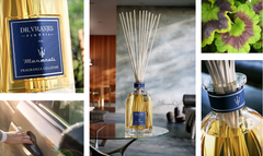 Tinh dầu tán hương Dr.Vranjes Maserati Fragranza Sticks  Special Edition