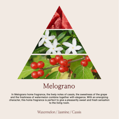 Tinh dầu tán hương Dr.Vranjes Melograno Menta Fragranza Sticks