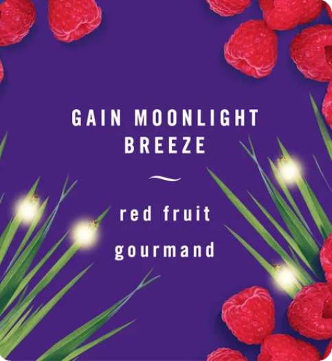 Tinh dầu Thơm xe Febreze Car Moonlight Breeze  2x2ml