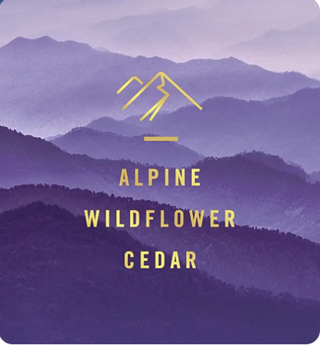 Tinh dầu khử mùi Toilet Febreze Mountain 7.5ml