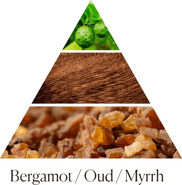 Tinh dầu tán hương Dr.Vranjes Oud Nobile Fragranza Sticks