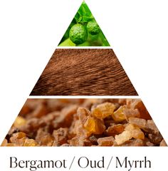 Tinh dầu tán hương Dr.Vranjes Oud Nobile Fragranza Sticks