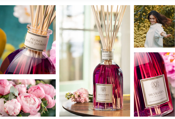 Tinh dầu tán hương Dr.Vranjes Peonia Black Jasmine Fragranza Sticks