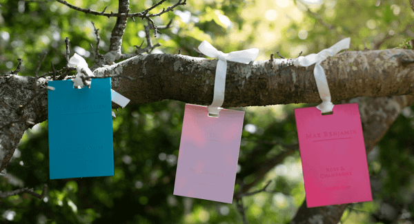 Thẻ thơm phòng treo tủ Max Benjamin Pink Pepper Scent Card