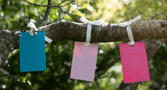 Thẻ thơm phòng treo tủ Max Benjamin Acqua Viva Scented Card