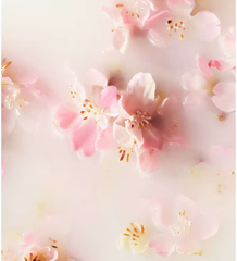 Gel rửa tay khô Rituals of Sakura hygiene Hand gel 50ml