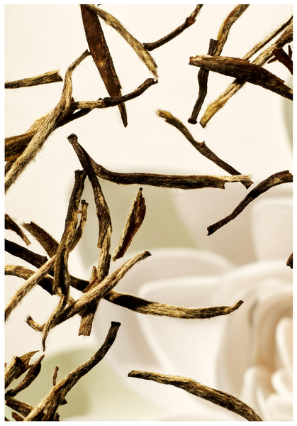 Gift set -  bộ đôi chống nắng và dầu dưỡng tinh chất ánh kim lotus & white tea soul shimmer body oil