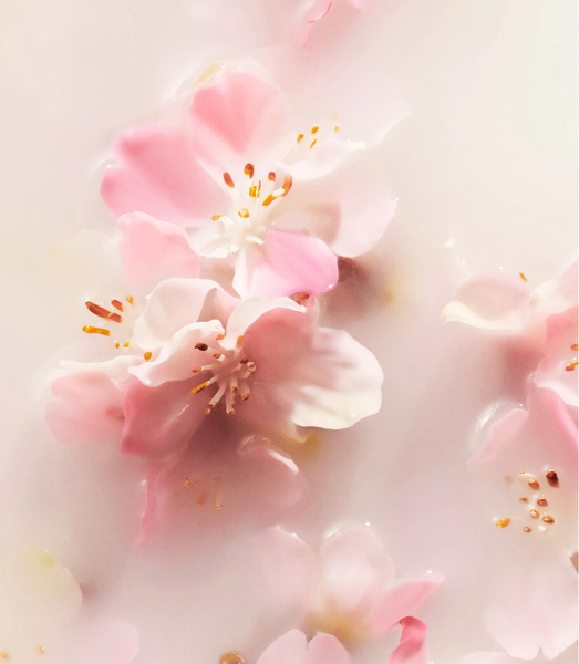 Gift set - bộ quà tặng cao cấp tắm dưỡng thể và Nến thơm The rituals of sakura