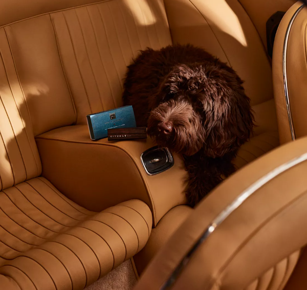 Refill Sáp thơm ô tô The Rituals of Hammam car perfume