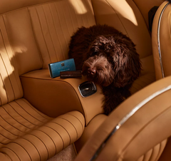 Sáp thơm ô tô The Rituals of Hammam Car Air freshener