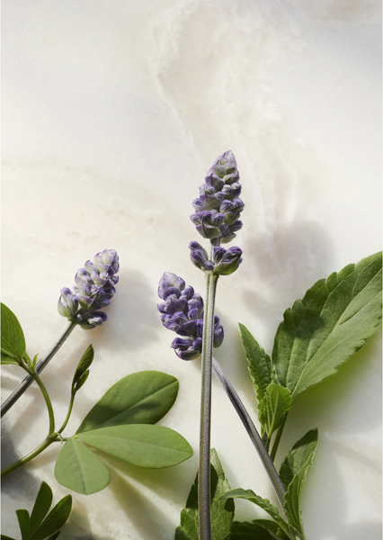 Glow - Kem dưỡng  ban đêm chống lão hóa Rituals of Namaste Anti-Ageing N night cream 50ml