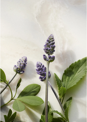 Glow - Kem dưỡng ban Ngày chống lão hóa  Rituals of Namaste ANTI-AGEING DAY CREAM 50ml