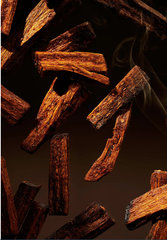 Tinh dầu tán hương Black Oudh The Ritual Private Collection Fragrance Sticks 450ML