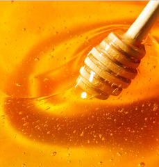 Sáp dưỡng môi dạng Nuxe reve de Miel Honey lip Balm Ultra- nourishing and repairing