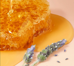 Sáp dưỡng môi dạng Nuxe reve de Miel Honey lip Balm Ultra- nourishing and repairing