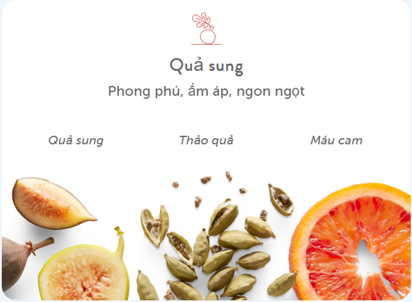 Sữa Tắm Harry's Fig Body wash