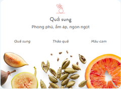 Sữa Tắm Harry's Fig Body wash 100ml