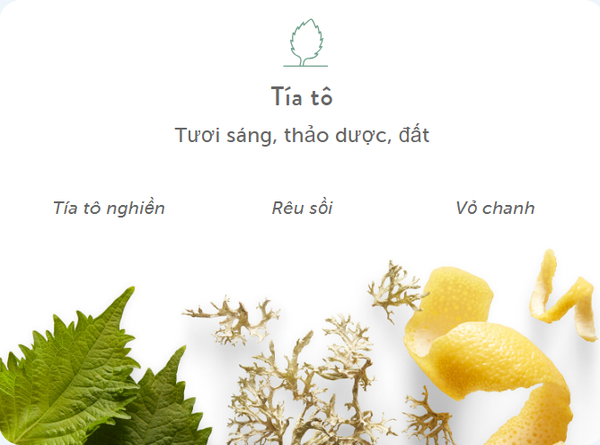 Sữa Tắm Harry's Shiso Body wash 100ml