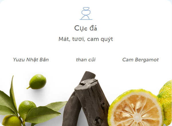 Sữa Tắm Harry's Stone Body wash