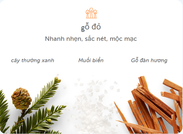 Sữa Tắm Harry's Redwood Body wash