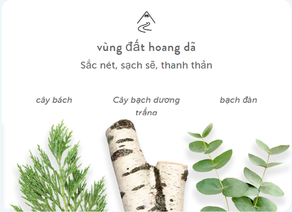 Sữa Tắm Harry's Wildlands Body wash