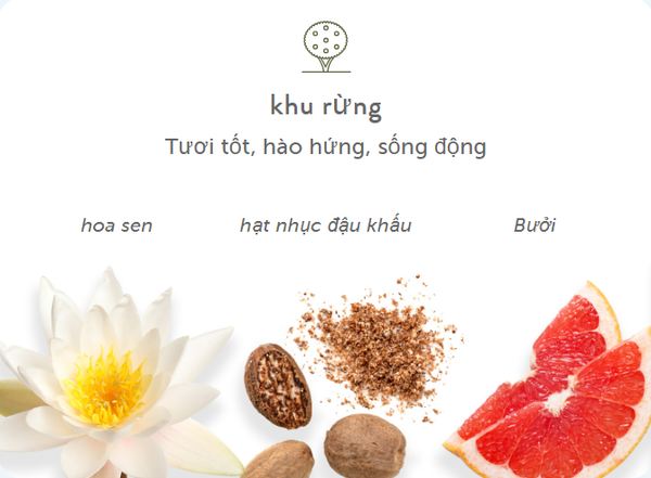 Sữa Tắm Harry's Grove Body wash